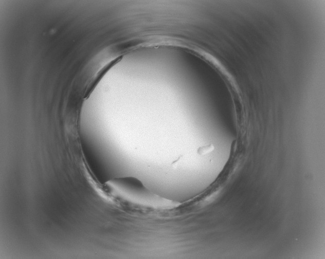 X0000082170905200702021723