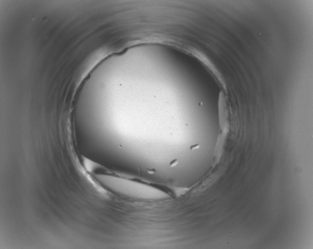 X0000082170906200702021723