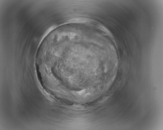 X0000082170907200702021723