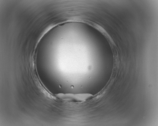 X0000082170908200702021723