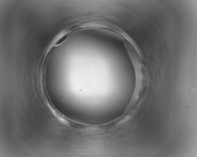 X0000082170909200702021723