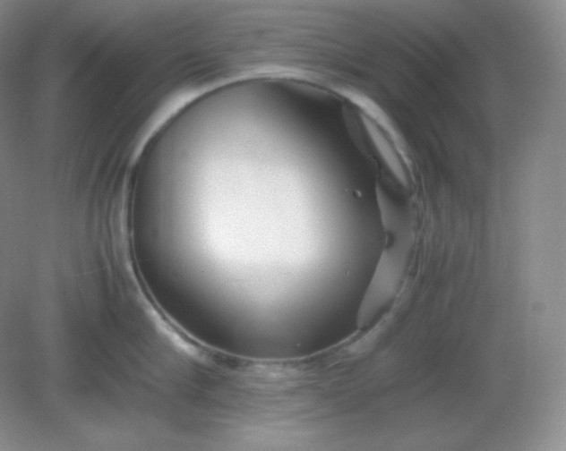 X0000082170910200702021723