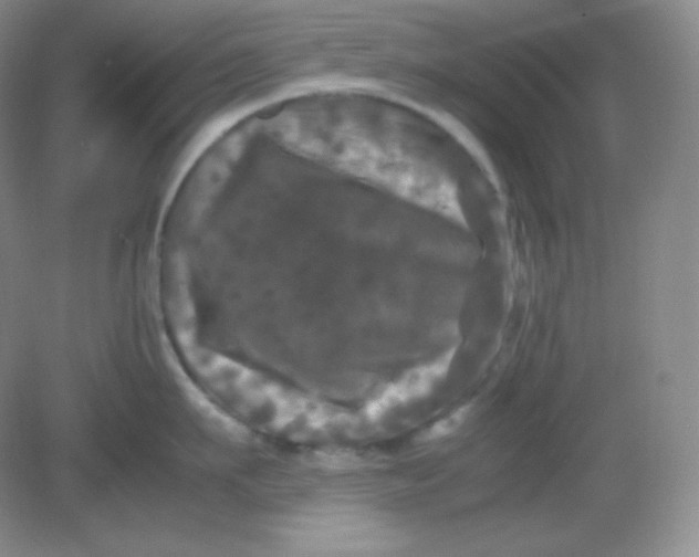 X0000082170911200702021723