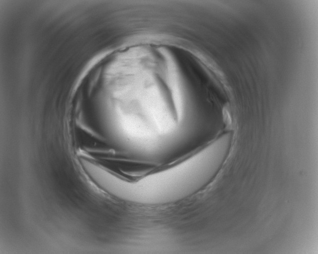 X0000082170912200702021723