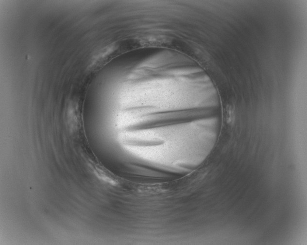 X0000082170915200702021722