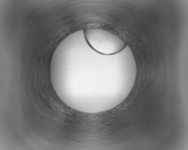 X0000082170916200702021722