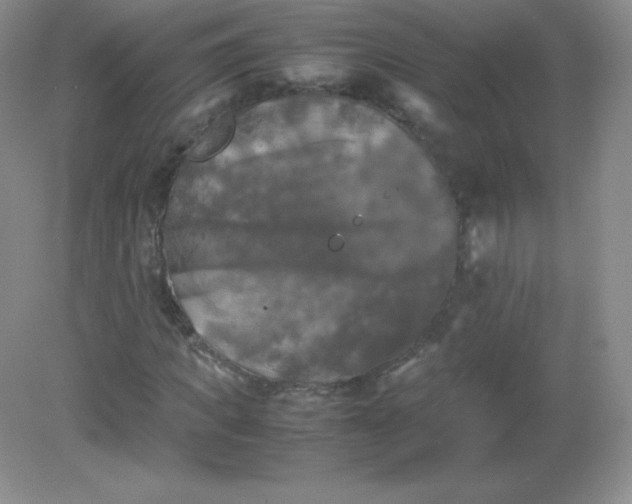 X0000082170917200702021722