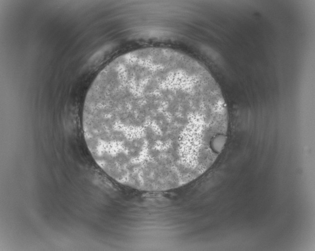 X0000082170918200702021722