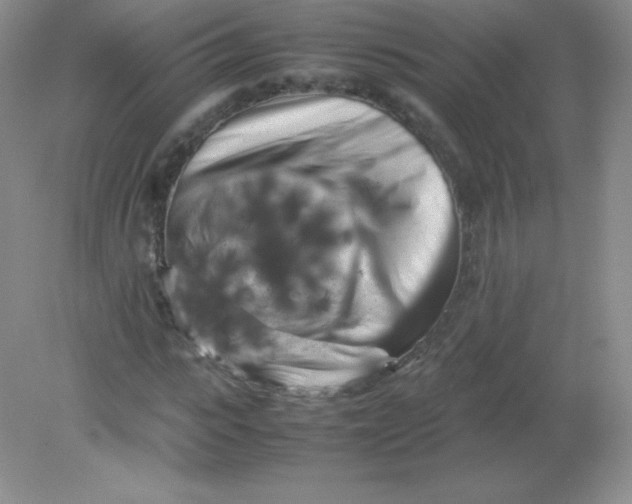 X0000082170919200702021722