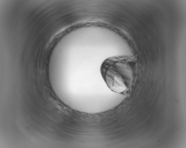 X0000082170920200702021723