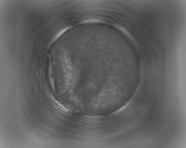 X0000082170921200702021723