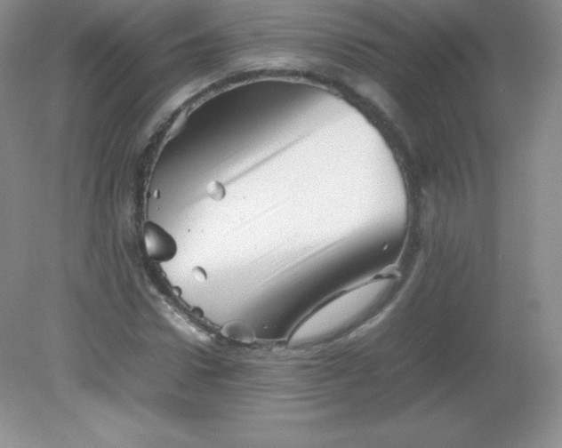 X0000082170922200702021723