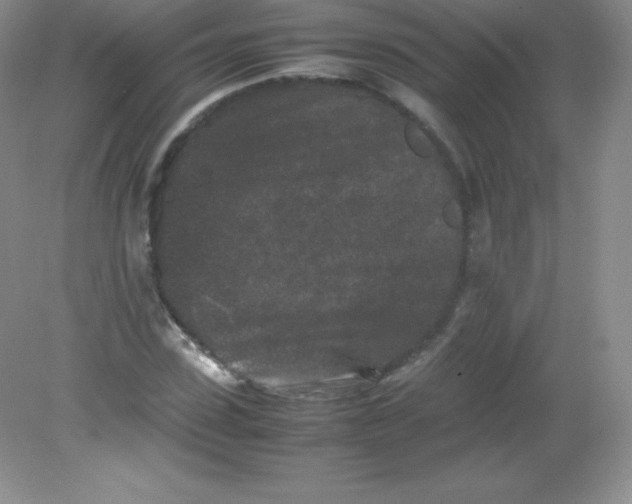 X0000082170923200702021723