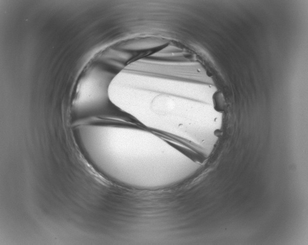 X0000082170924200702021723