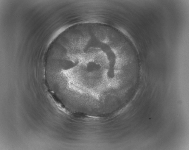 X0000082170925200702021723