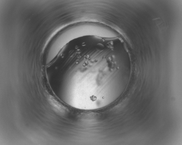 X0000082170926200702021723