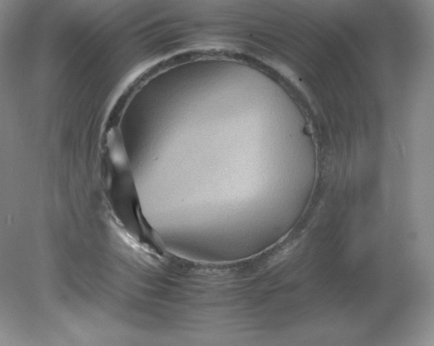 X0000082170927200702021723