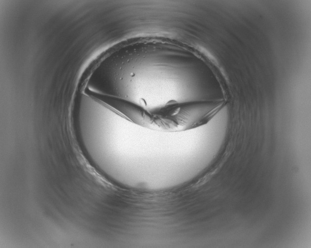 X0000082170928200702021723