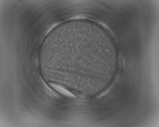 X0000082170929200702021723