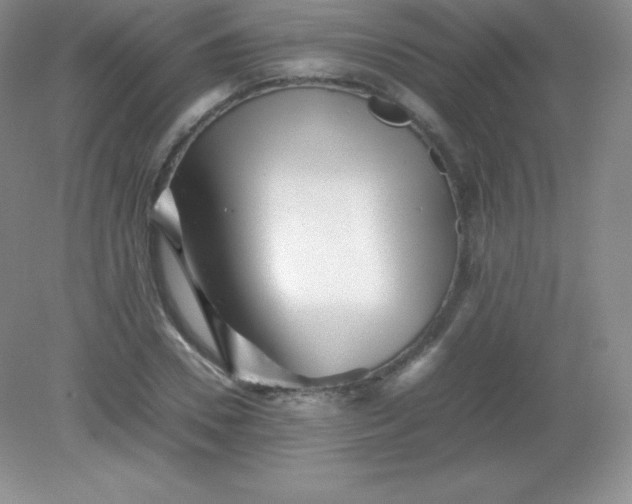 X0000082170930200702021723