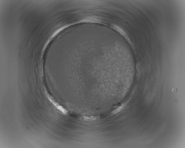 X0000082170931200702021723