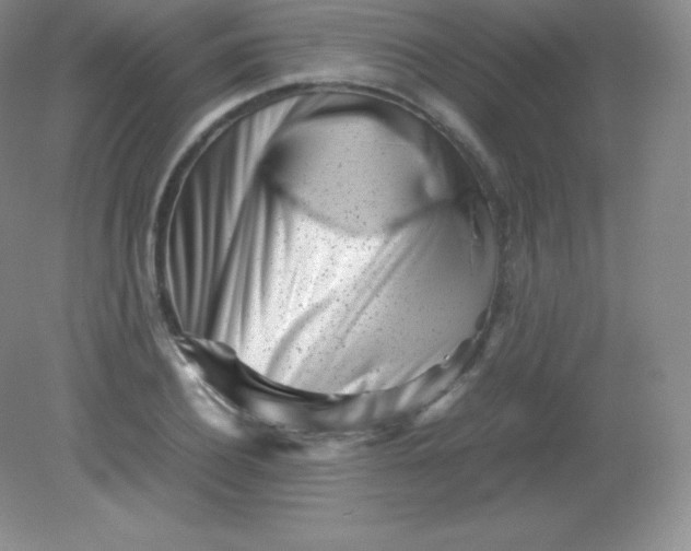 X0000082170932200702021723