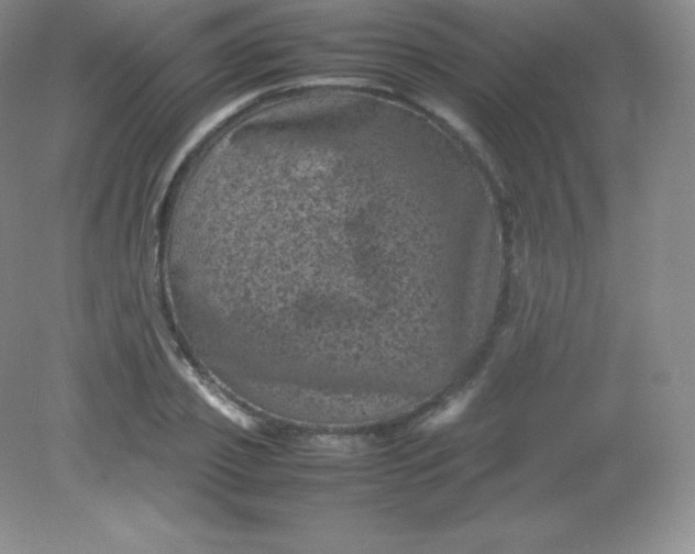 X0000082170933200702021723