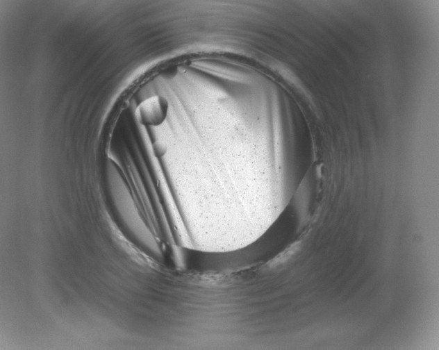 X0000082170934200702021723