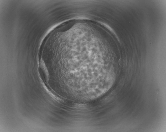 X0000082170935200702021723