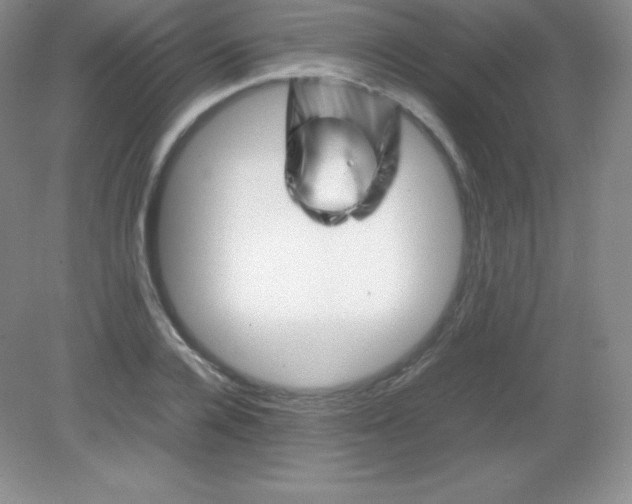 X0000082170936200702021723