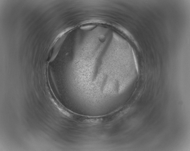 X0000082170937200702021723