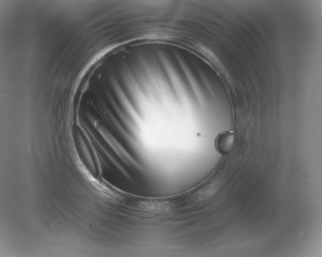 X0000082170939200702021723