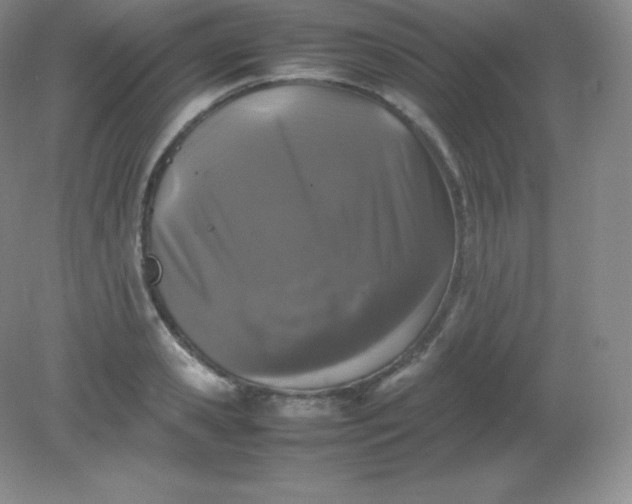 X0000082170941200702021723