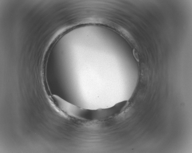 X0000082170942200702021723