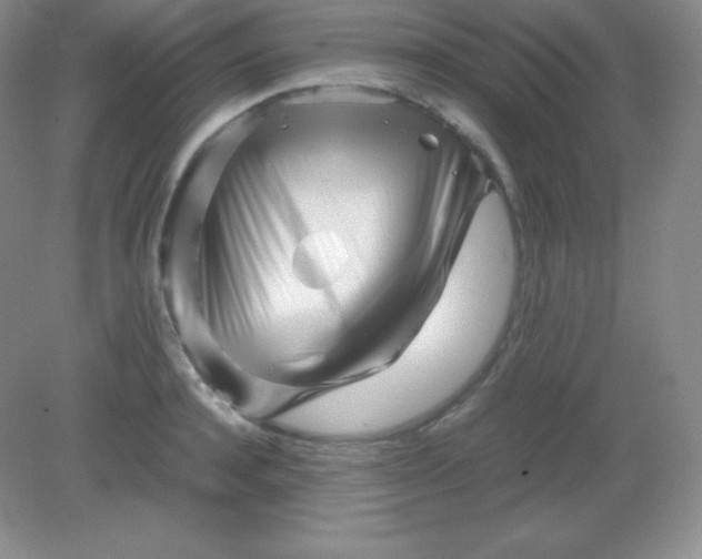 X0000082170944200702021723