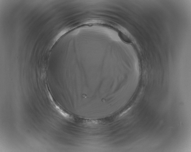 X0000082170945200702021723