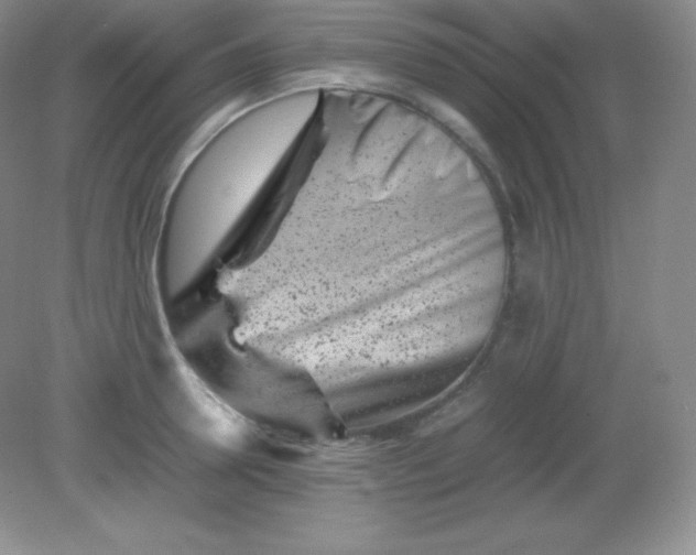 X0000082170946200702021723