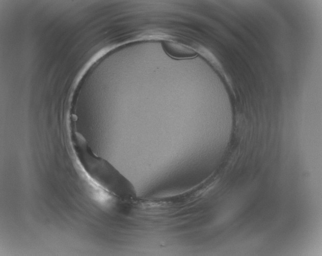 X0000082170947200702021723