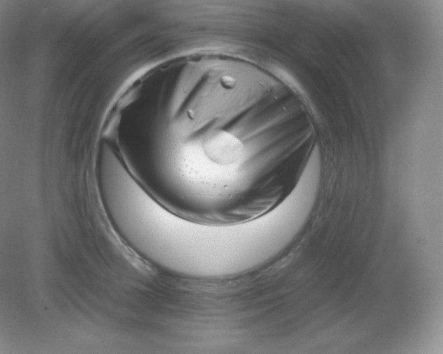 X0000082170948200702021723