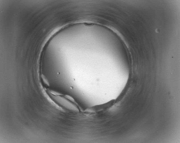 X0000082170949200702021723