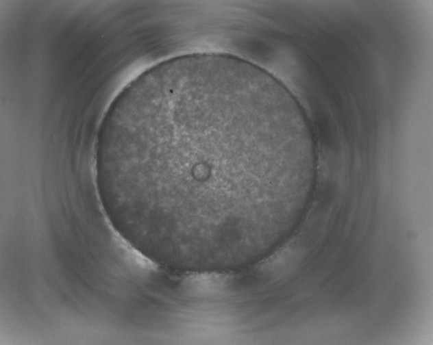 X0000082170950200702021723