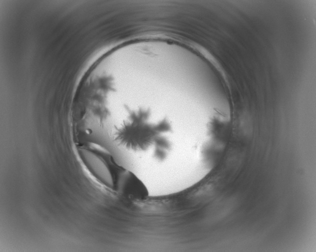 X0000082170951200702021723