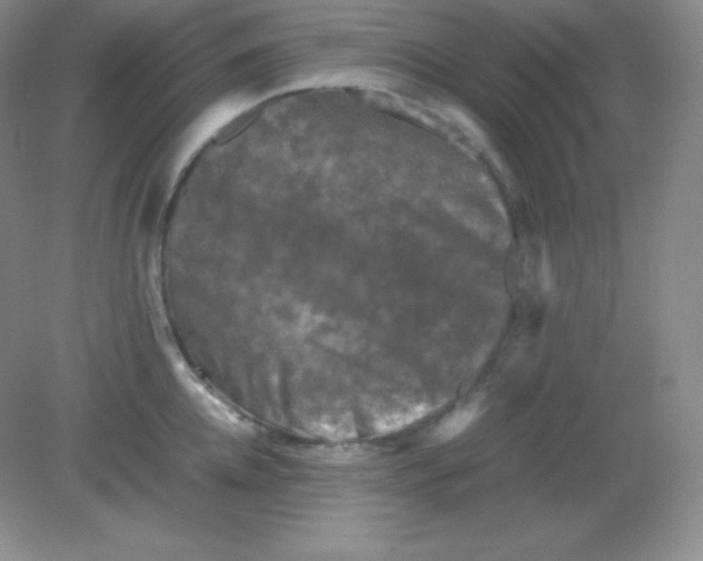 X0000082170952200702021723