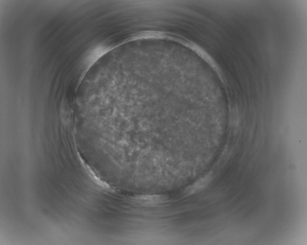 X0000082170953200702021723