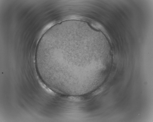 X0000082170954200702021723