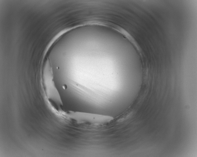 X0000082170955200702021723