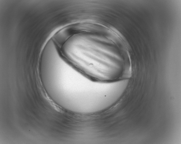 X0000082170956200702021723