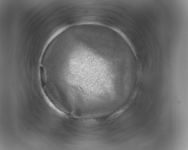 X0000082170957200702021723