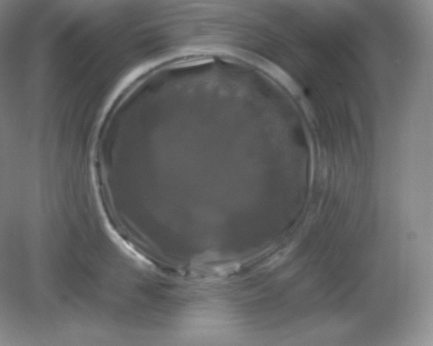 X0000082170958200702021723