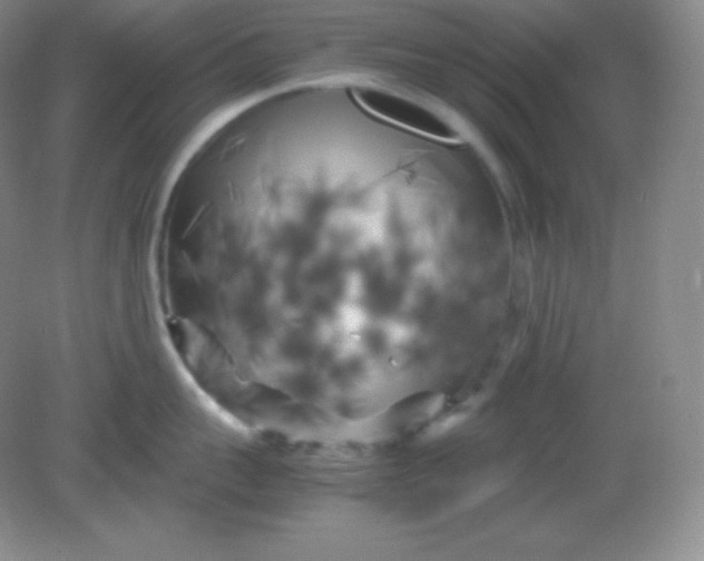 X0000082170959200702021723